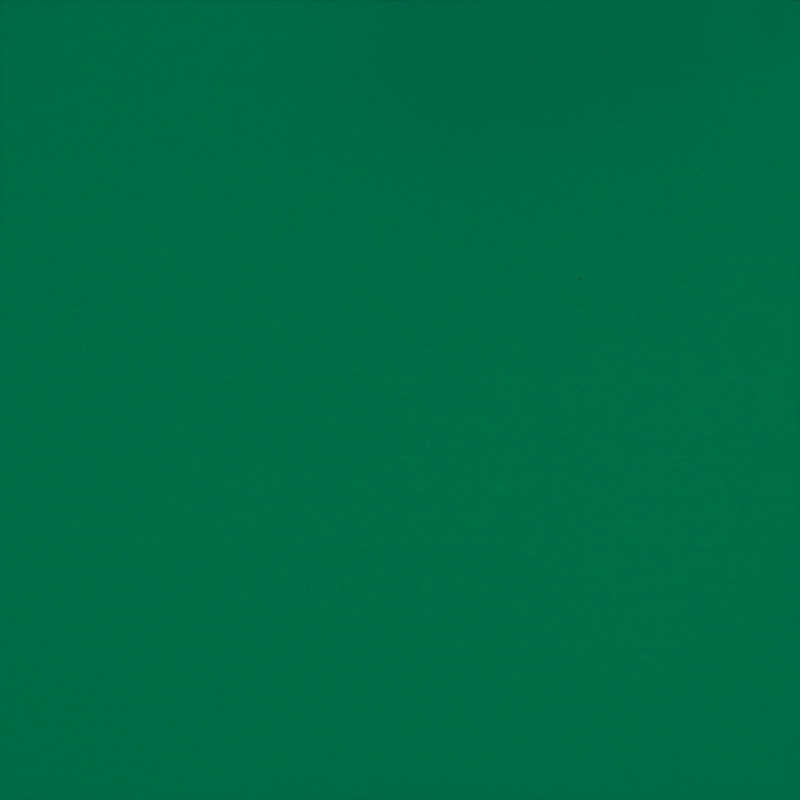 Vinílicos  Suelo Vinílico Gimnasia Verde Oscuro Extremo