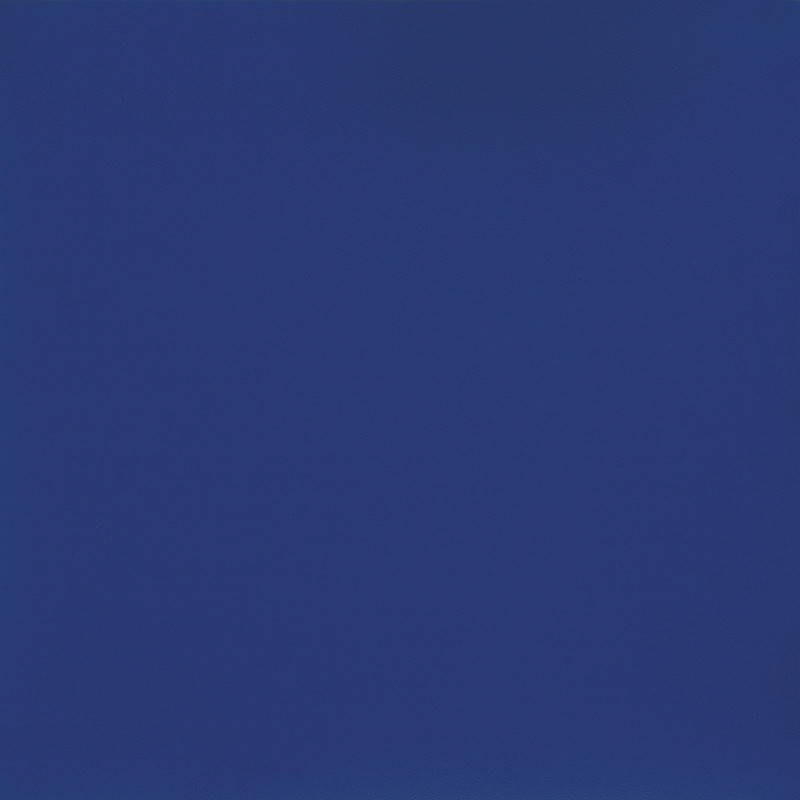 Vinílicos  Suelo Vinílico Gimnasio Azul Oscuro Extremo
