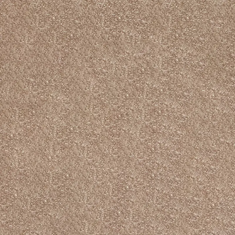 Moquetas Poliamida Gata Ante 331