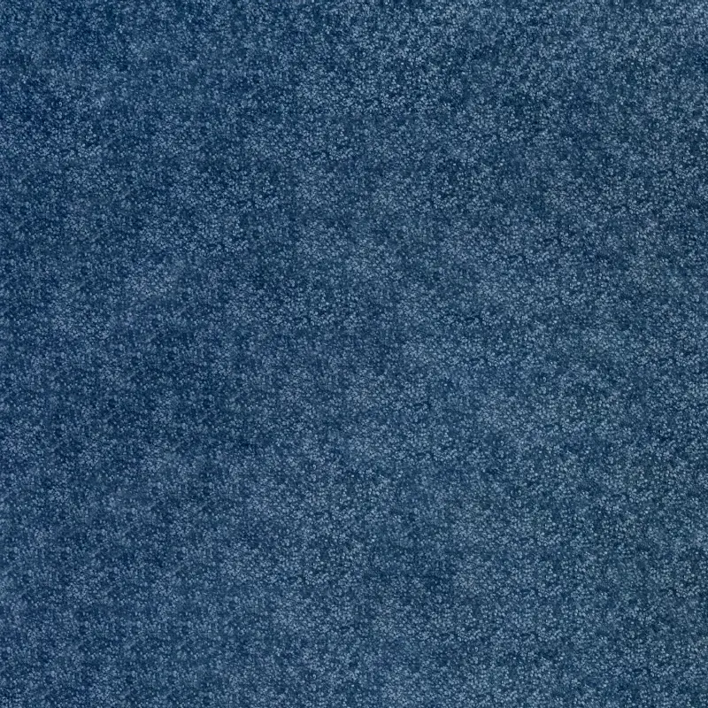 Moquetas Poliamida Gata Azul 801