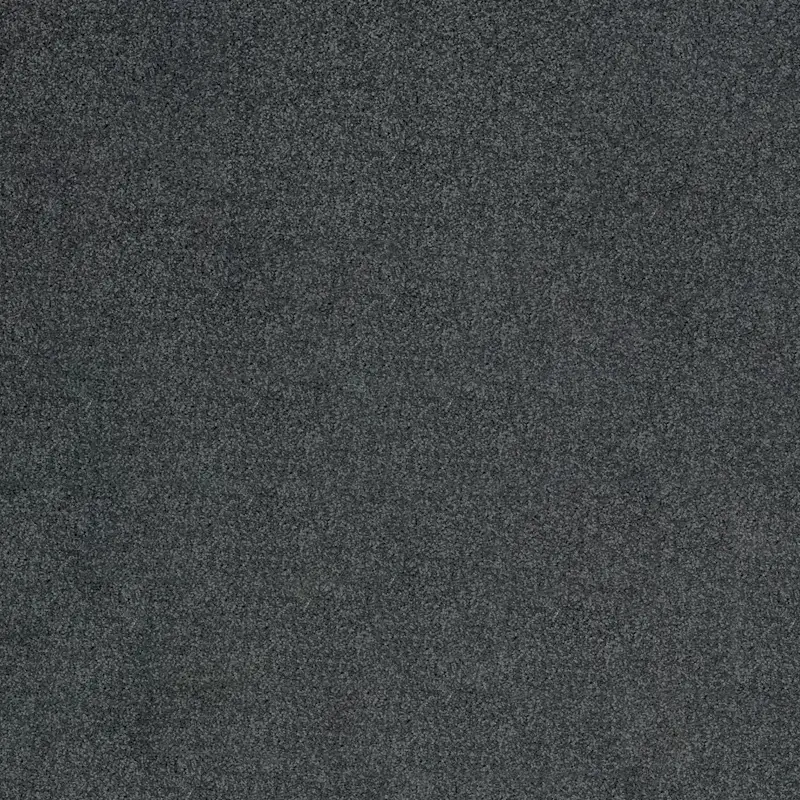 Moquetas Poliamida Ecos de la Musa Gris Clásico 160