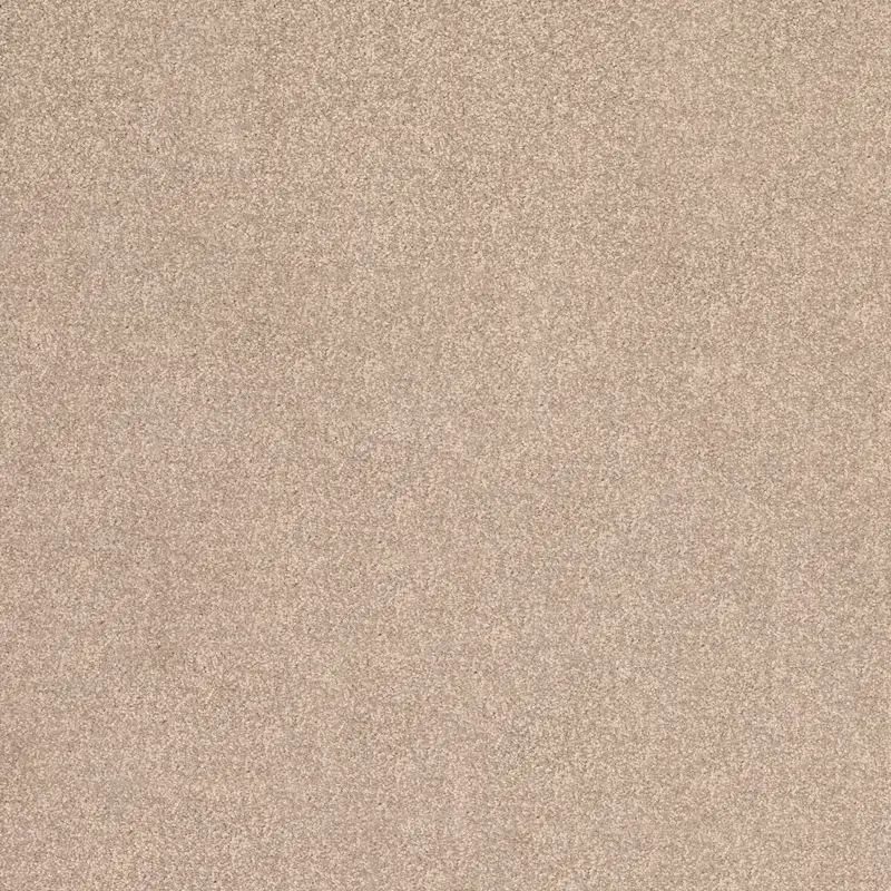 Moquetas Poliamida Ecos de la Musa Beige 154