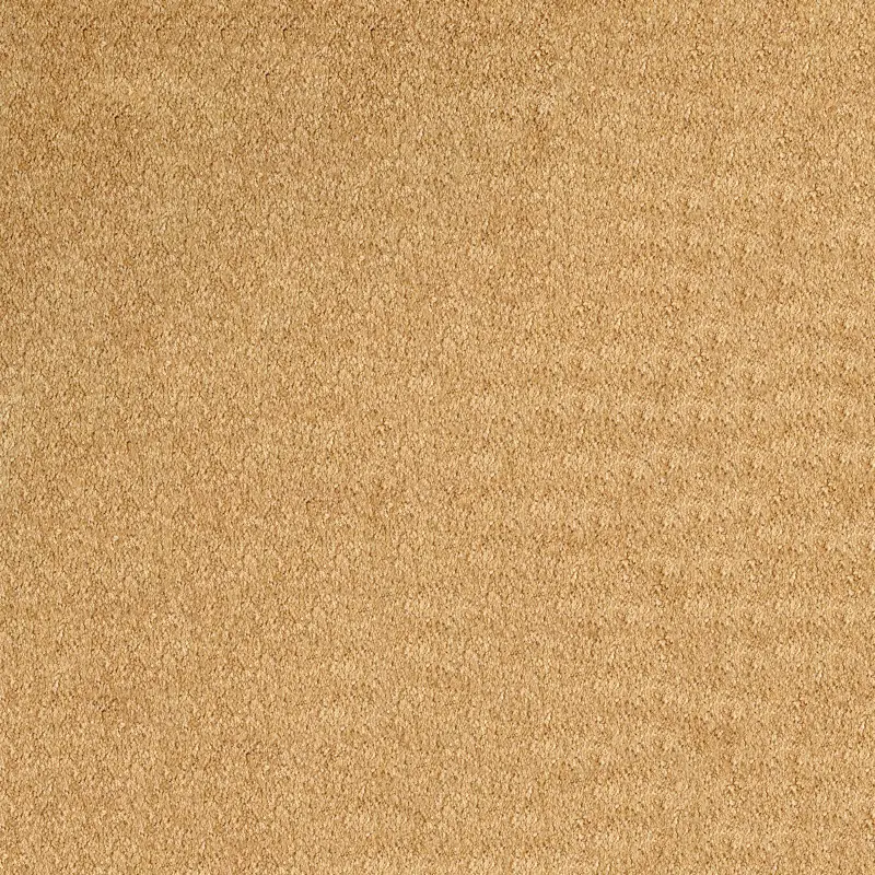 Moquetas Polyester PET Aurora Gold 237