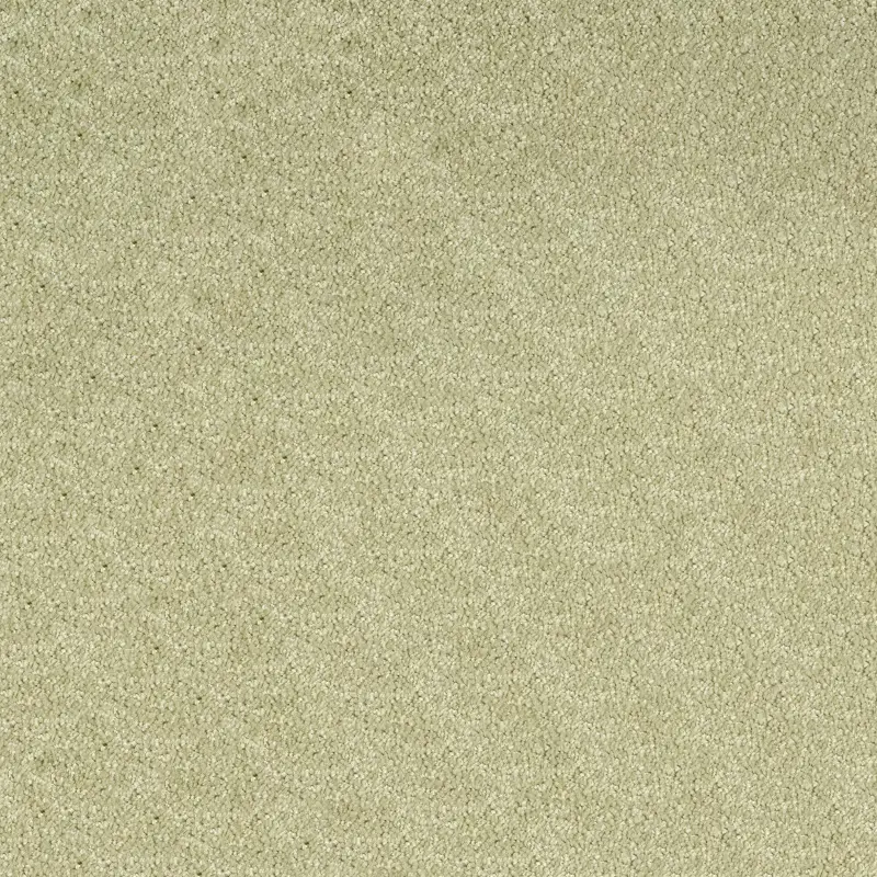 Moquetas Polyester PET Aurora Verde Claro 219