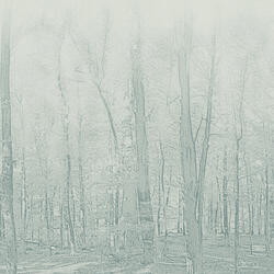 Vinílicos  Suelo Vinílico Bosque Verde