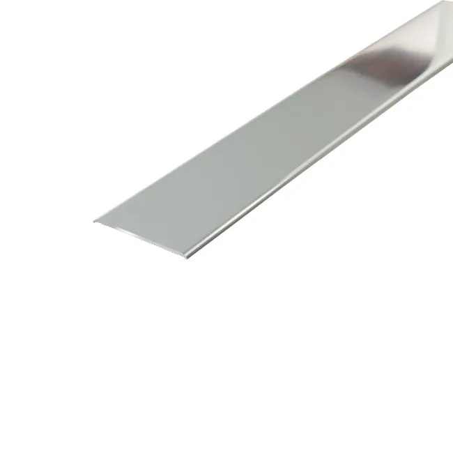 Obras accesorios  GPBarip Pletina de Dilatación Plata Inox Adtoadhesivas 90cm