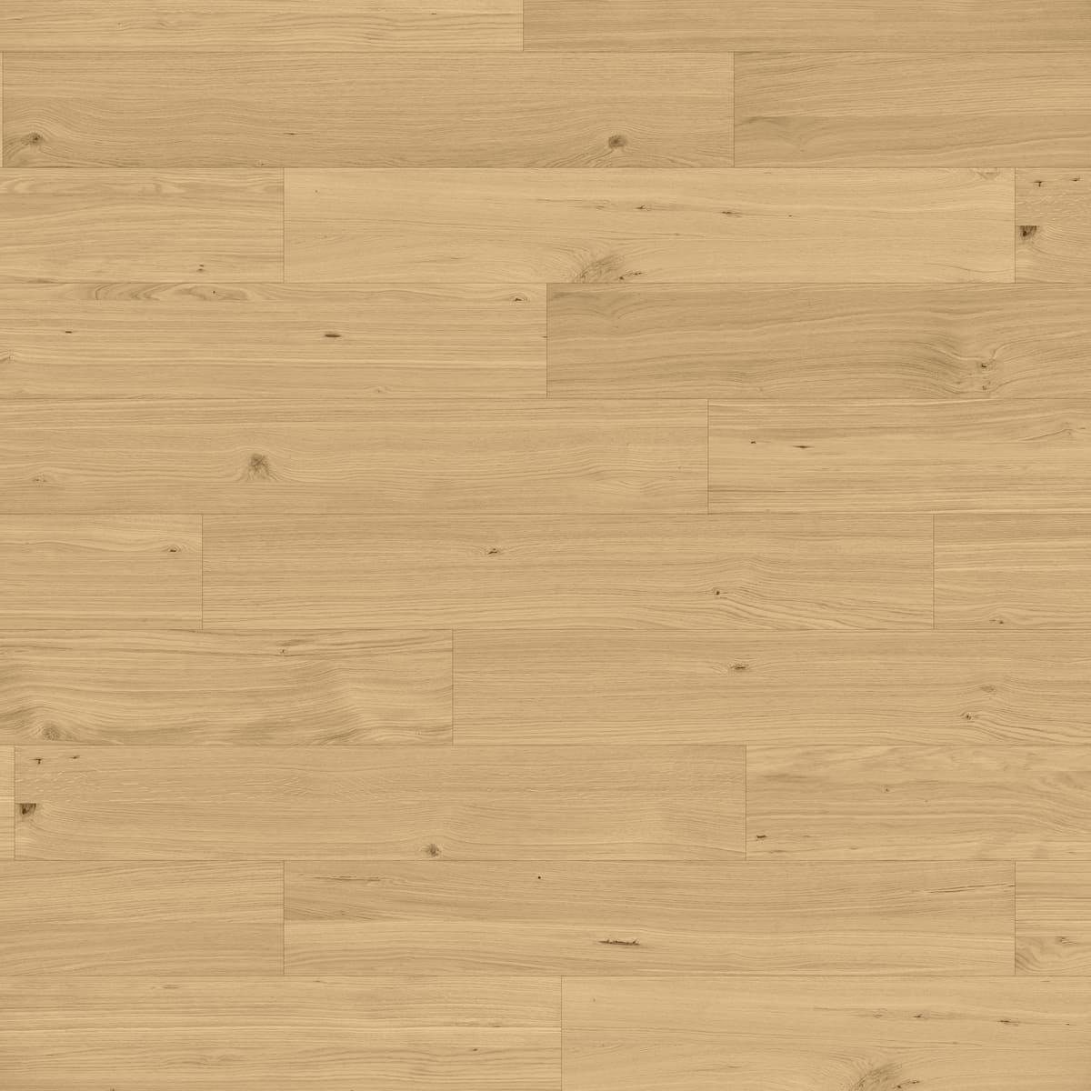 Pro Natural Oak Rustic Light