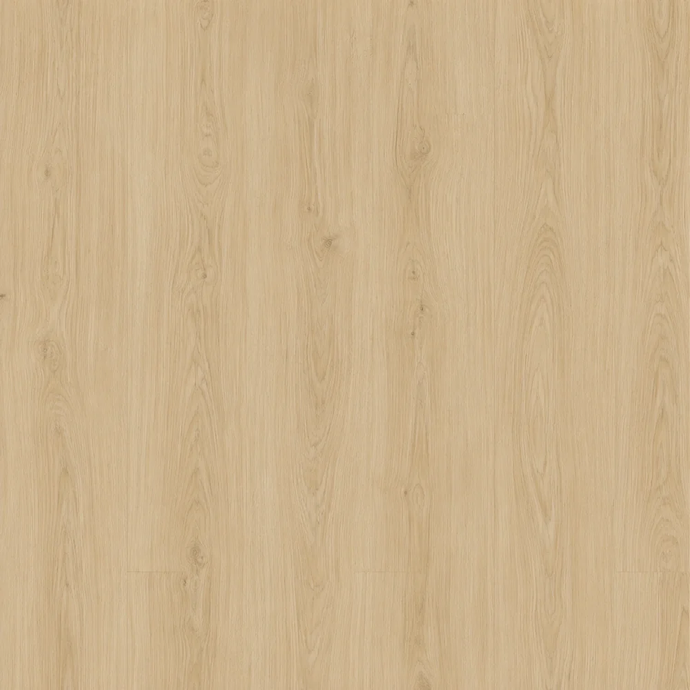 Tarimas Laminada Suelo Laminado Roble Moira 8mm AC5 | Resistente Agua | Clase 33