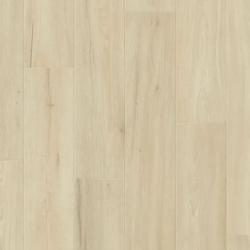 Tarimas Laminada Sagrada Familia BALTERIO Bisellatura  pro BIP61126 Suelo laminado AC4