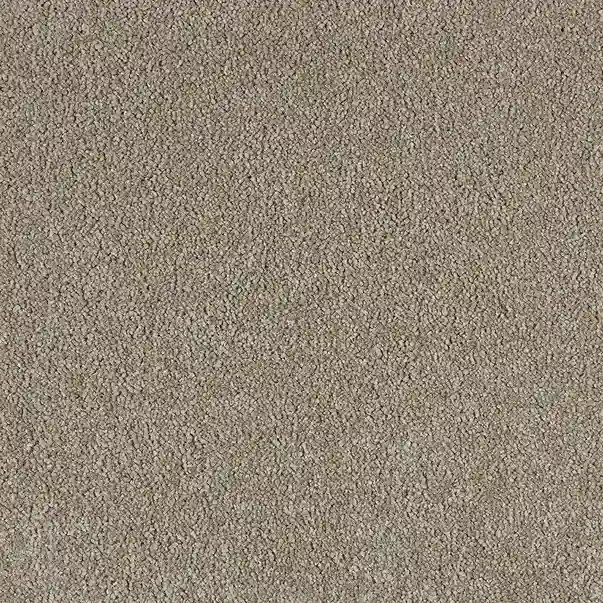 Moquetas 100% Solution Dyed Xclusive 027 Gosling