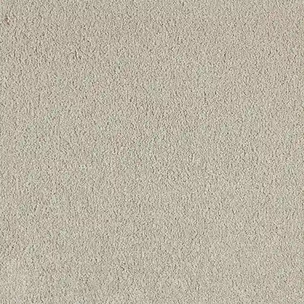 Moquetas 100% Solution Dyed Xclusive 046 Holland