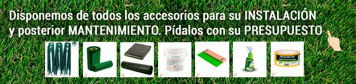 Descubre todos nuestros Accesorios