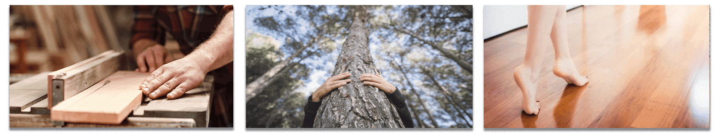 Ama la naturaleza