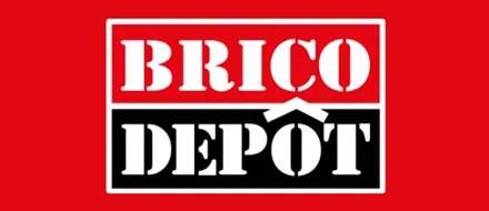 Bricodeport Logo