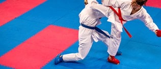 Suelos de Tatami, perfectos para artes marciales, zonas deportivas y de ocio