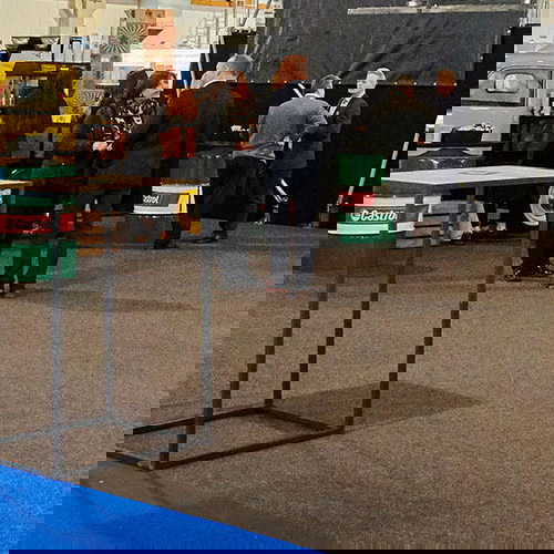 Disfruta de la mayor variedad de alfombras y moquetas en pavimentos arquiservi Disfruta de la mayor variedad de alfombras y moquetas en pavimentos arquiservi