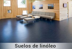 Linoleo