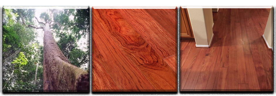 Suelos de Madera Natural de Bubinga