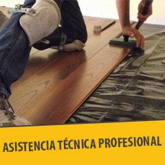 Asistencia Técnica