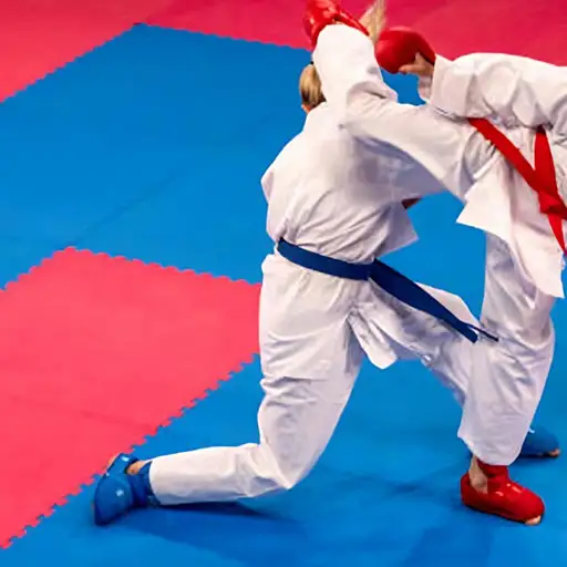 Tatami